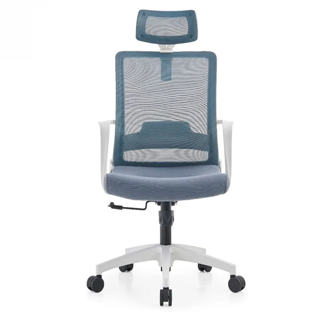 Silla derectiva Moldavia