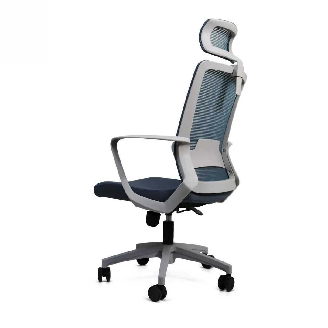 Silla Directiva Moldavia