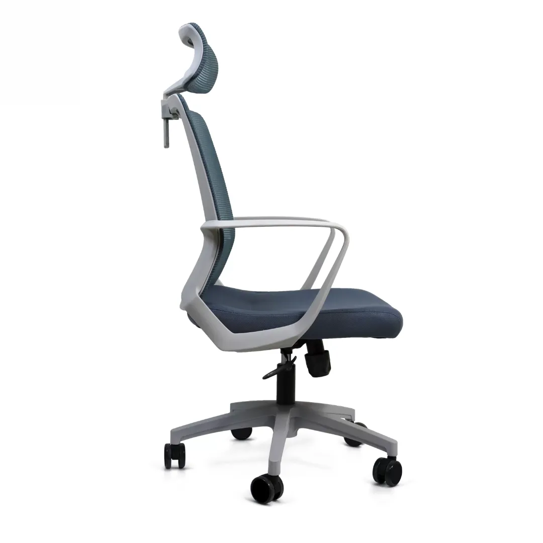 Silla Directiva Moldavia