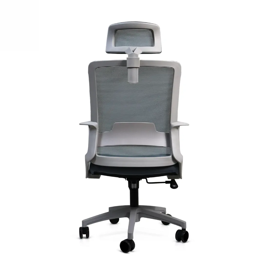 Silla Directiva Moldavia