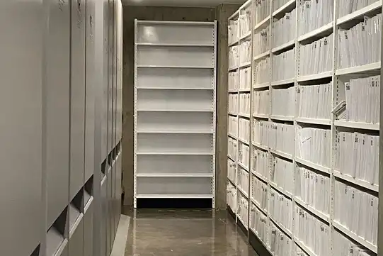 Proyecto Nissan RFMN