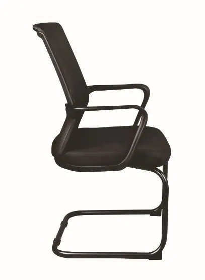 LITUANIA-VISITA-PERFIL