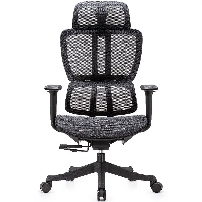 Montenegro- Directiva - Frente