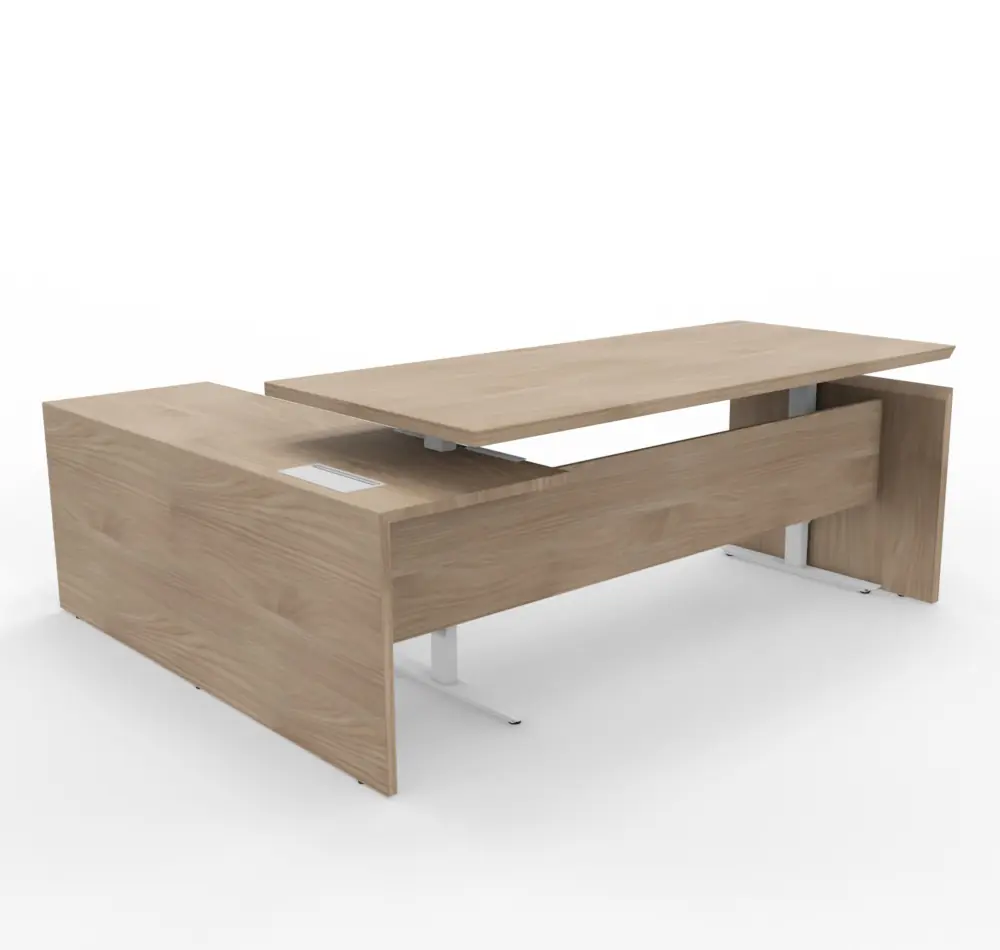 ESCRITORIO DIRECTIVO